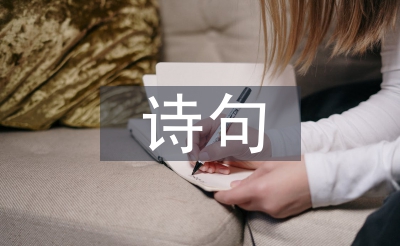 元宵節的詩句小學