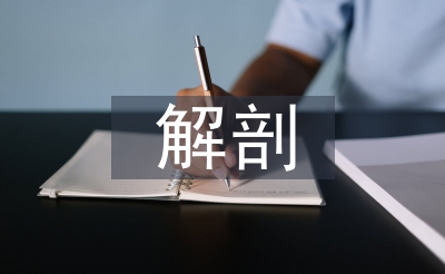 解剖學的論文