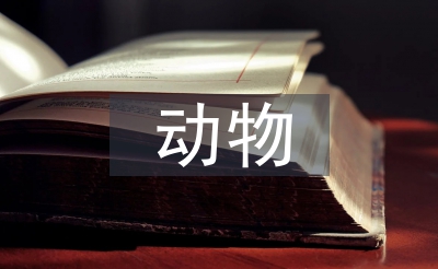動物醫學和獸醫學的區別