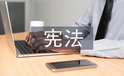 憲法論文