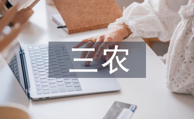 三農政策論文