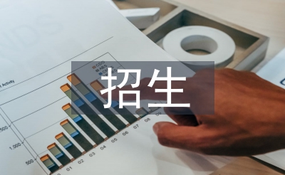 招生自查工作總結