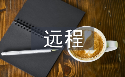 遠程審計的思考